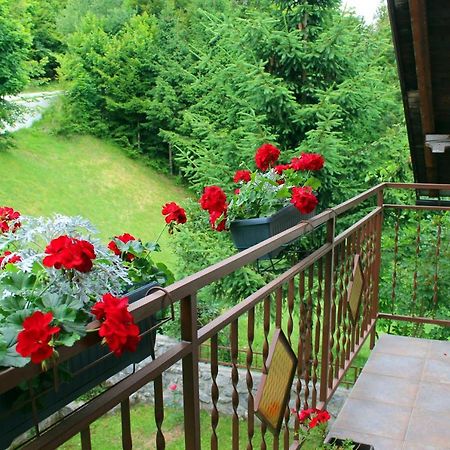 Kuca Za Odmor Cicki Vrh Vila Brestova Draga Exterior foto