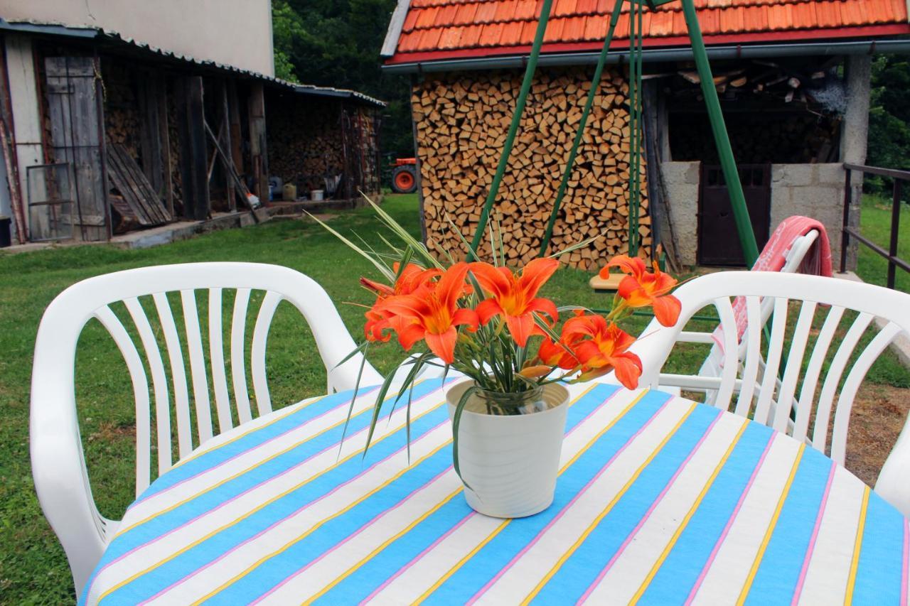 Kuca Za Odmor Cicki Vrh Vila Brestova Draga Exterior foto