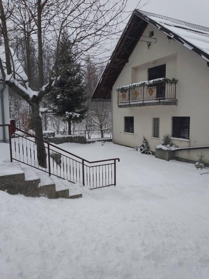 Kuca Za Odmor Cicki Vrh Vila Brestova Draga Exterior foto
